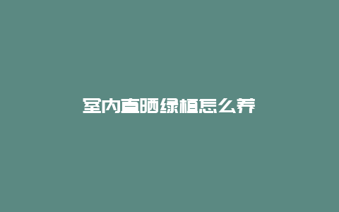 室内直晒绿植怎么养