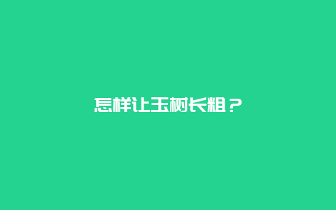 怎样让玉树长粗？