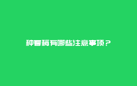 种春梅有哪些注意事项？