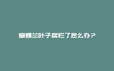 蝴蝶兰叶子腐烂了怎么办？