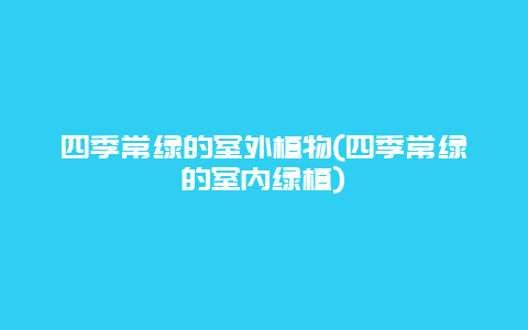 四季常绿的室外植物(四季常绿的室内绿植)