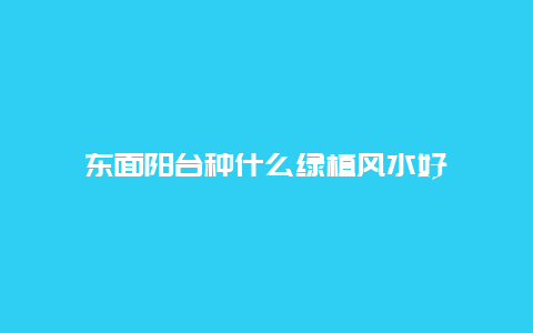 东面阳台种什么绿植风水好