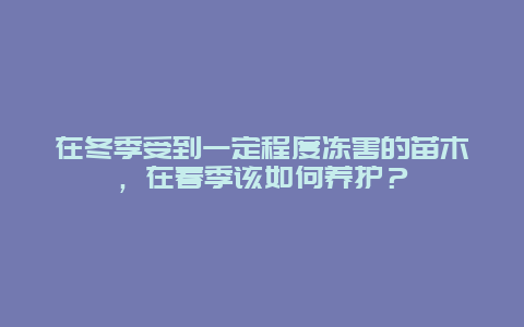 在冬季受到一定程度冻害的苗木，在春季该如何养护？