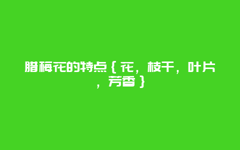 腊梅花的特点｛花，枝干，叶片，芳香｝