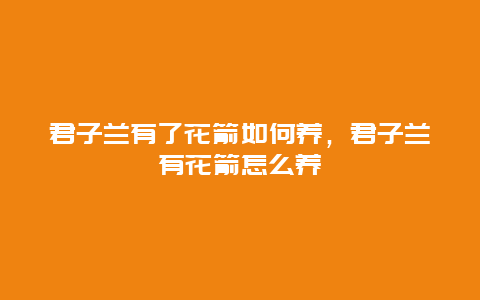 君子兰有了花箭如何养，君子兰有花箭怎么养