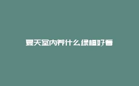 夏天室内养什么绿植好看