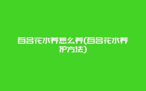 百合花水养怎么养(百合花水养护方法)