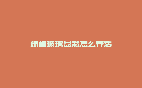 绿植玻璃盆栽怎么养活