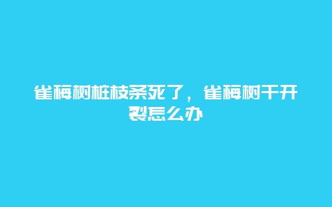 雀梅树桩枝条死了，雀梅树干开裂怎么办