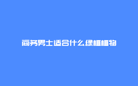 商务男士适合什么绿植植物