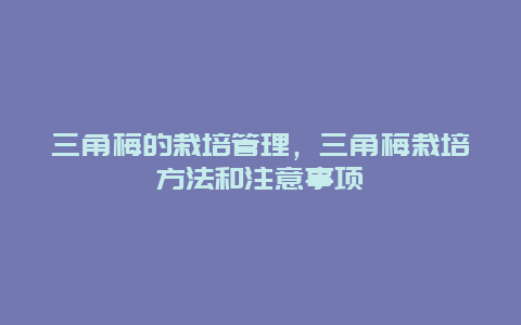 三角梅的栽培管理，三角梅栽培方法和注意事项