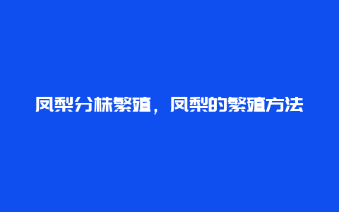 凤梨分株繁殖，凤梨的繁殖方法