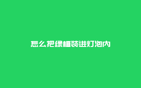 怎么把绿植装进灯泡内