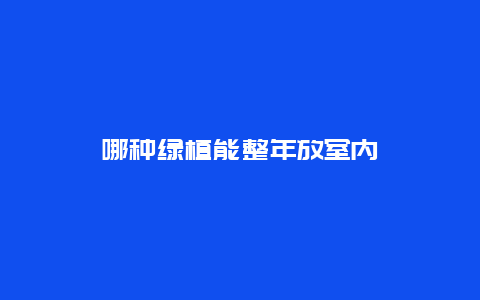 哪种绿植能整年放室内