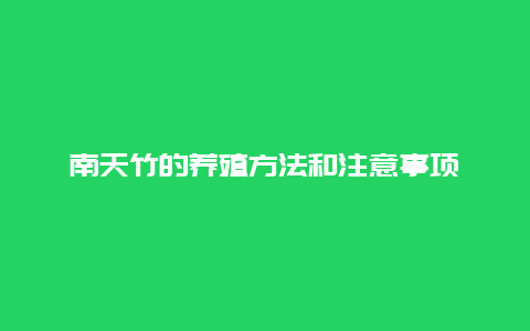 南天竹的养殖方法和注意事项