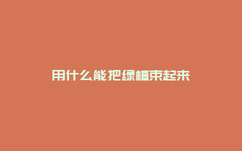 用什么能把绿植束起来