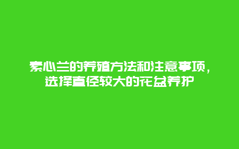 素心兰的养殖方法和注意事项，选择直径较大的花盆养护