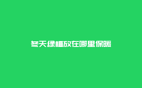 冬天绿植放在哪里保暖