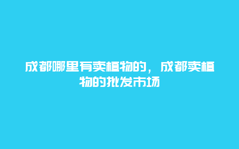 成都哪里有卖植物的，成都卖植物的批发市场