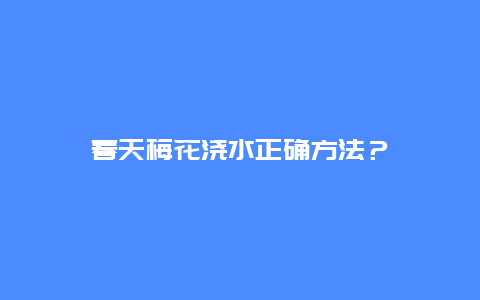 春天梅花浇水正确方法？