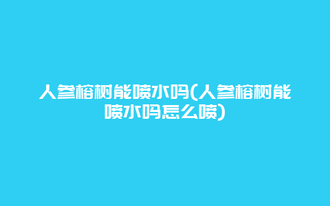 人参榕树能喷水吗(人参榕树能喷水吗怎么喷)