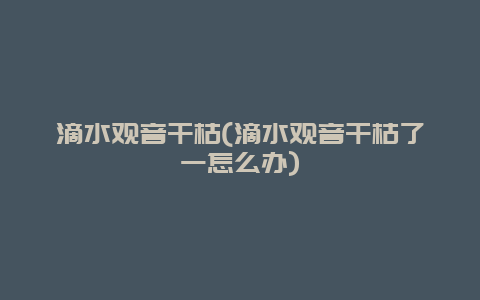 滴水观音干枯(滴水观音干枯了一怎么办)