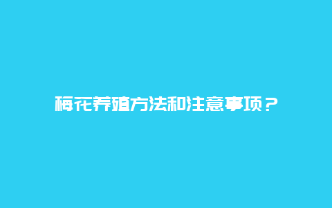 梅花养殖方法和注意事项？