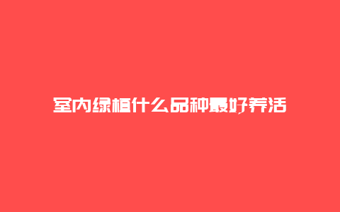 室内绿植什么品种最好养活