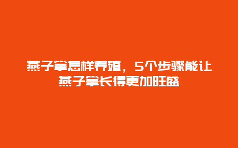 燕子掌怎样养殖，5个步骤能让燕子掌长得更加旺盛