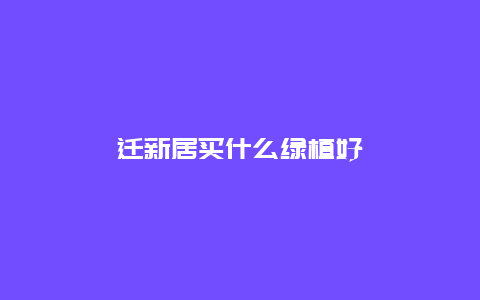 迁新居买什么绿植好