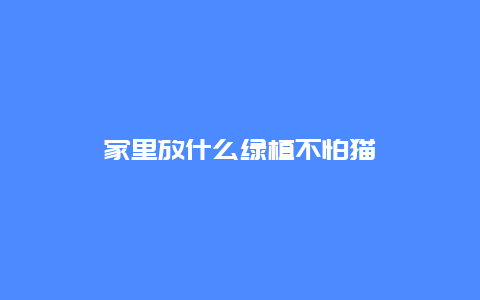 家里放什么绿植不怕猫