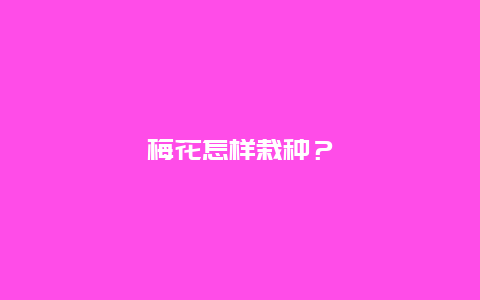 梅花怎样栽种？