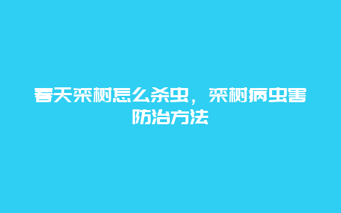 春天栾树怎么杀虫，栾树病虫害防治方法