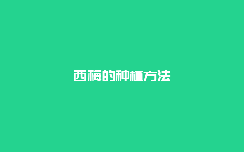 西梅的种植方法