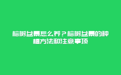 榕树盆景怎么养？榕树盆景的种植方法和注意事项