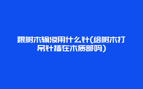 跟树木输液用什么针(给树木打吊针插在木质部吗)