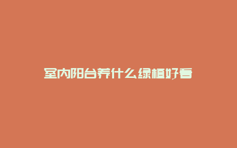 室内阳台养什么绿植好看