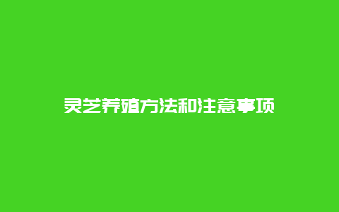 灵芝养殖方法和注意事项