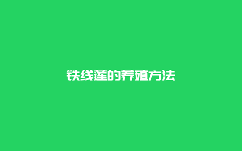 铁线莲的养殖方法