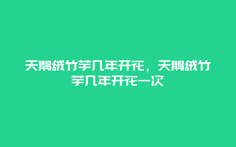 天鹅绒竹芋几年开花，天鹅绒竹芋几年开花一次