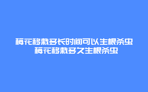 梅花移栽多长时间可以生根杀虫 梅花移栽多久生根杀虫