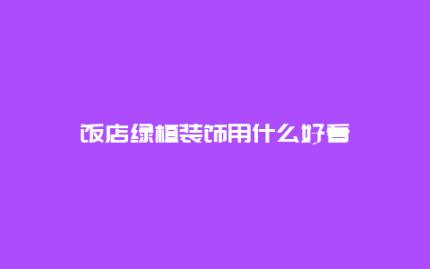 饭店绿植装饰用什么好看