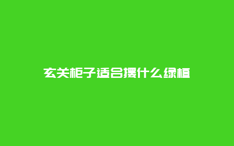 玄关柜子适合摆什么绿植