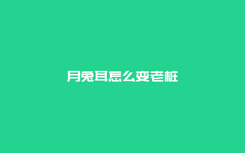 月兔耳怎么变老桩