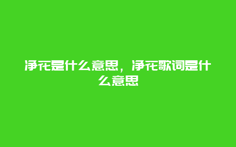 净花是什么意思，净花歌词是什么意思