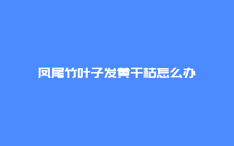 凤尾竹叶子发黄干枯怎么办