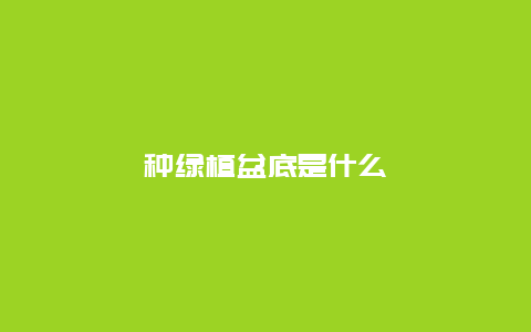 种绿植盆底是什么