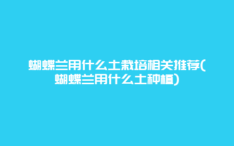 蝴蝶兰用什么土栽培相关推荐(蝴蝶兰用什么土种植)