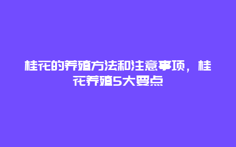 桂花的养殖方法和注意事项，桂花养殖5大要点