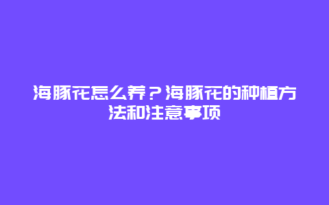 海豚花怎么养？海豚花的种植方法和注意事项